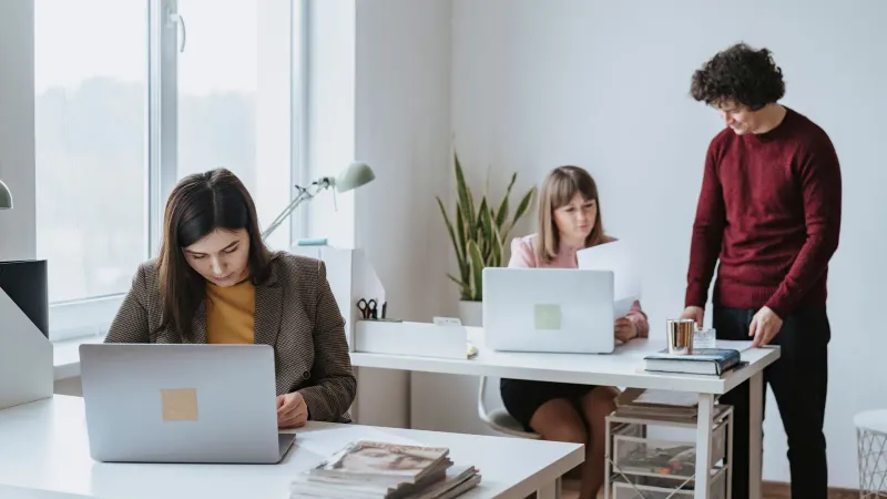Gruppe von Kollegen, die gemeinsam in einem hellen, modernen Büro mit Laptops arbeiten.